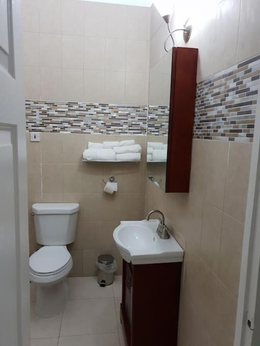 Escape At The Oasis- New Kingston Area -24Hrs Security, Elevator, Water Heater, Wifi Luaran gambar